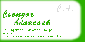 csongor adamcsek business card